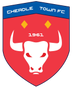 Cheadle Town