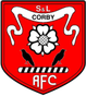 Stewarts & Lloyds FC
