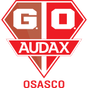 Gremio Osasco Audax