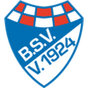 Brinkumer SV