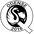 אודנסה קיו ו'