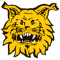 Ilves W
