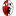 Kuchl