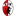 Kuchl