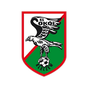 Sokół Kleczew
