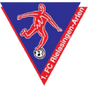 FC Rielasingen-Arlen
