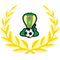 Adelaide Cobras