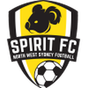 NWS Spirit