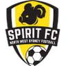 NWS Spirit