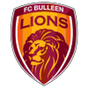 Bulleen Lions