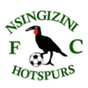 Nsingizini Hotspurs