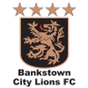 Bankstown City Lions