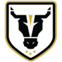 Bulls Academy