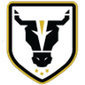 Bulls Academy