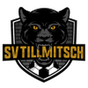 Tillmitsch