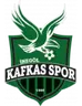 İnegöl Kafkas Gençlik