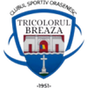 Tricolorul Breaza