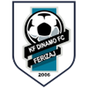 Dinamo Ferizaj
