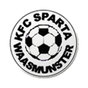 Sparta Waasmunster