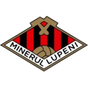 Minerul Lupeni