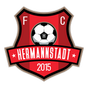 AFC Hermannstadt