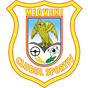 CS Mioveni