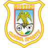 CS Mioveni