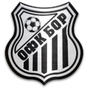 OFK Bor 1919