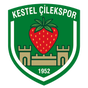 Kestel Çilek