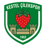 Kestel Çilek