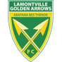 Golden Arrows