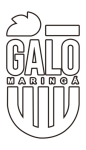 Galo Maringá U20