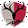 Kashima