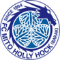 Mito Hollyhock