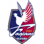 Fagiano Okayama