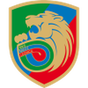 Miedz Legnica