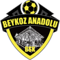 Beykoz Anadolu