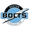 Boston Bolts