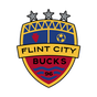 Flint City Bucks