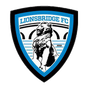 Lionsbridge
