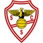 Salgueiros