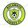Bulawayo Chiefs