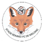 Stade Renard