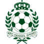 Dessel Sport