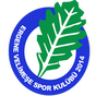 Ergene Velimeşespor