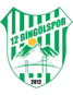 12 Bingölspor