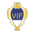 Vänersborgs IF