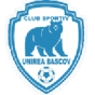 Unirea Bascov