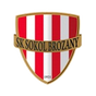 Sokol Brozany