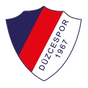 Düzcespor